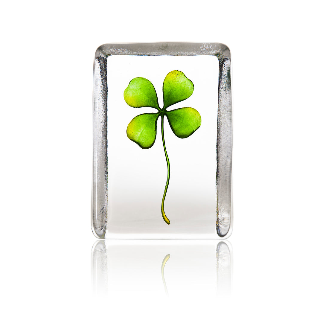 Four-leaf Clover